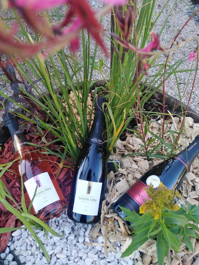 L'Echappee Belle En Champagne Βίλα Spoy  Εξωτερικό φωτογραφία
