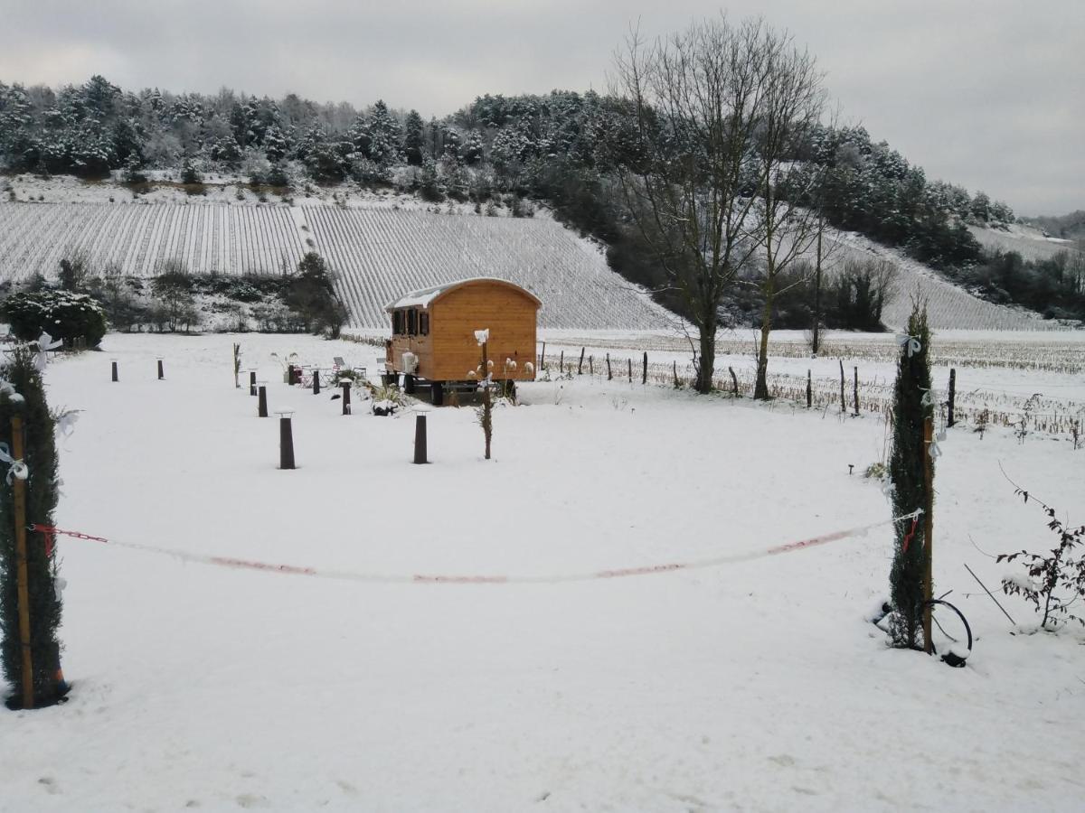 L'Echappee Belle En Champagne Βίλα Spoy  Εξωτερικό φωτογραφία
